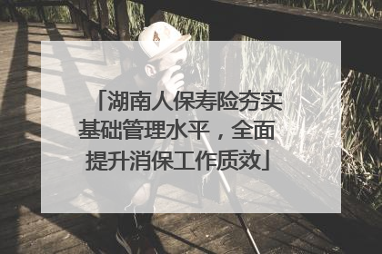 湖南人保寿险夯实基础管理水平，全面提升消保工作质效